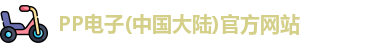 PP电子